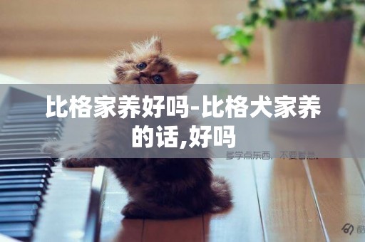 比格家養好嗎-比格犬家養的話,好嗎