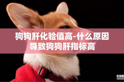 狗狗肝化驗值高-什么原因導致狗狗肝指標高