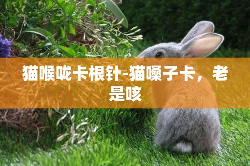 貓喉嚨卡根針-貓嗓子卡，老是咳