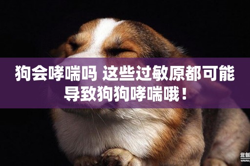 狗會哮喘嗎 這些過敏原都可能導致狗狗哮喘哦！