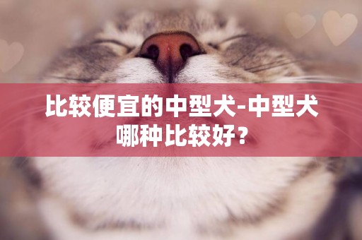 比較便宜的中型犬-中型犬哪種比較好？