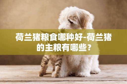荷蘭豬糧食哪種好-荷蘭豬的主糧有哪些？