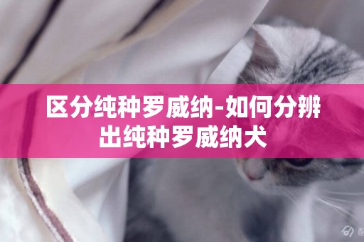 區分純種羅威納-如何分辨出純種羅威納犬
