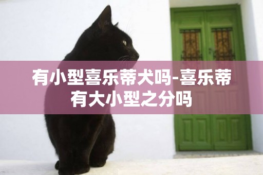 有小型喜樂蒂犬嗎-喜樂蒂有大小型之分嗎
