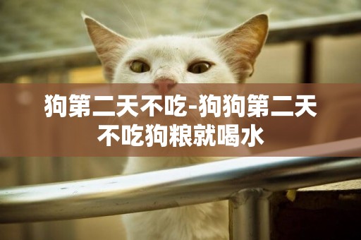狗第二天不吃-狗狗第二天不吃狗糧就喝水