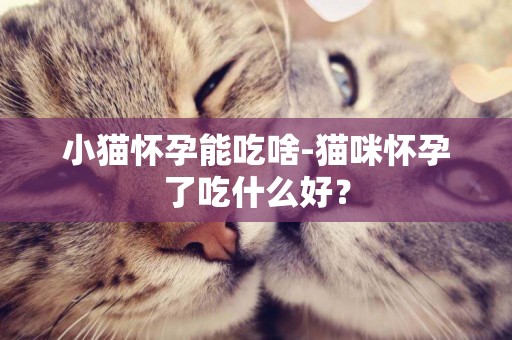 小貓懷孕能吃啥-貓咪懷孕了吃什么好？