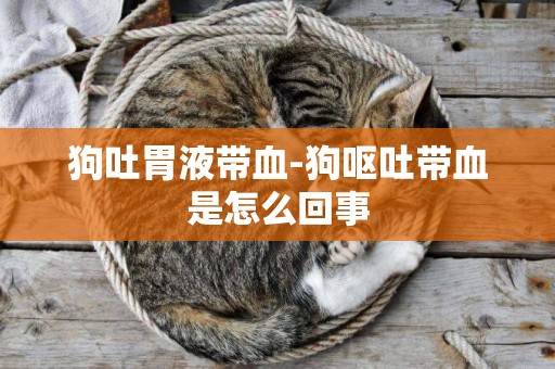 狗吐胃液帶血-狗嘔吐帶血是怎么回事