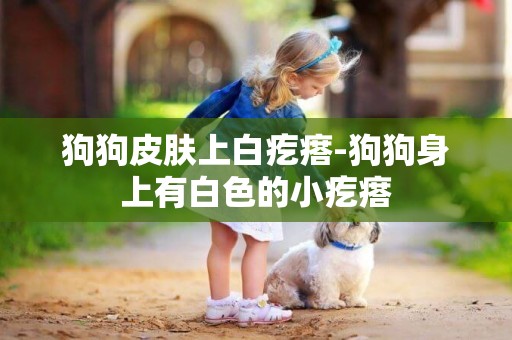 狗狗皮膚上白疙瘩-狗狗身上有白色的小疙瘩
