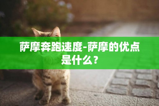 薩摩奔跑速度-薩摩的優點是什么？