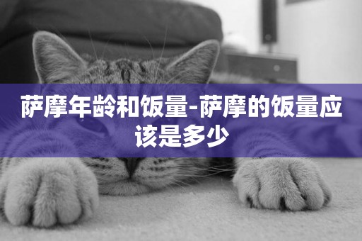 薩摩年齡和飯量-薩摩的飯量應該是多少