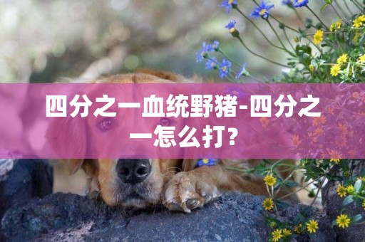 四分之一血統野豬-四分之一怎么打？