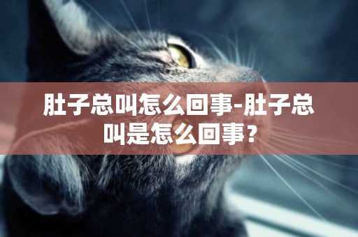 肚子總叫怎么回事-肚子總叫是怎么回事？