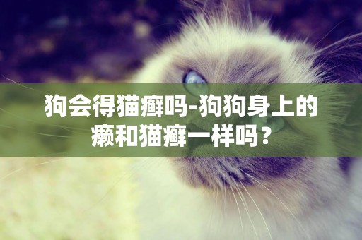 狗會得貓癬嗎-狗狗身上的癩和貓癬一樣嗎？