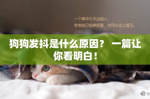 狗狗發抖是什么原因？ 一篇讓你看明白！