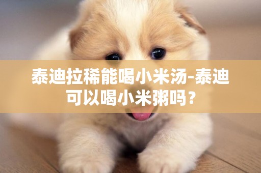 泰迪拉稀能喝小米湯-泰迪可以喝小米粥嗎？