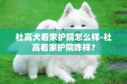 杜高犬看家護院怎么樣-杜高看家護院咋樣？