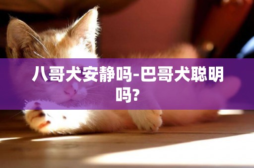 八哥犬安靜嗎-巴哥犬聰明嗎?