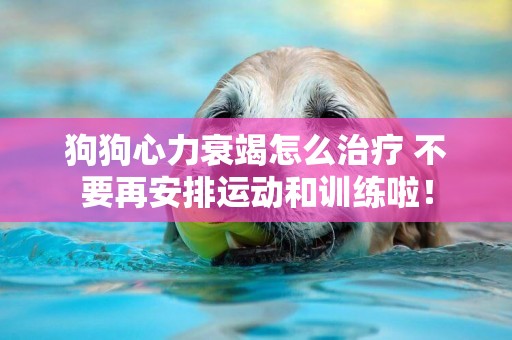 狗狗心力衰竭怎么治療 不要再安排運動和訓練啦！