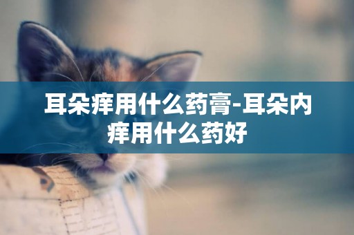 耳朵癢用什么藥膏-耳朵內癢用什么藥好