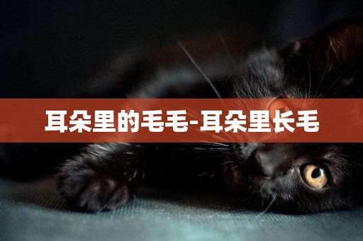 耳朵里的毛毛-耳朵里長毛