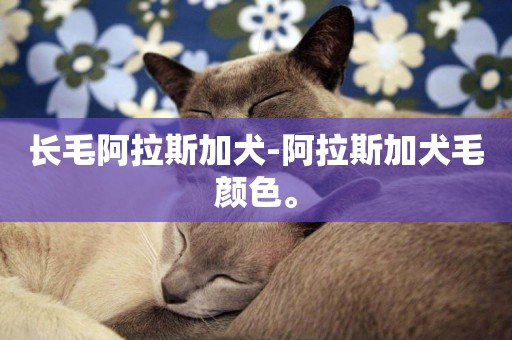 長毛阿拉斯加犬-阿拉斯加犬毛顏色。