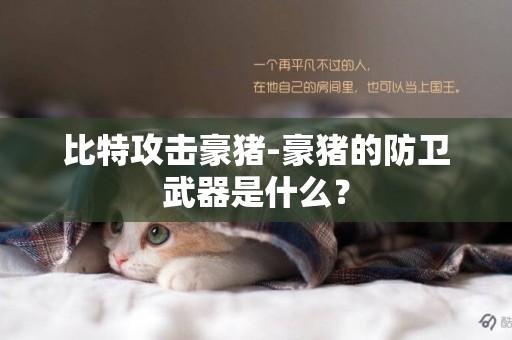 比特攻擊豪豬-豪豬的防衛武器是什么？