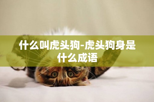 什么叫虎頭狗-虎頭狗身是什么成語