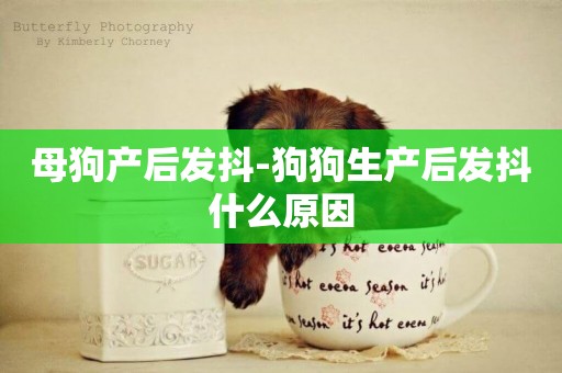 母狗產后發抖-狗狗生產后發抖什么原因