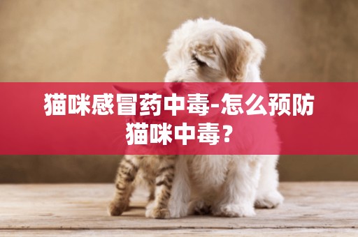貓咪感冒藥中毒-怎么預防貓咪中毒？