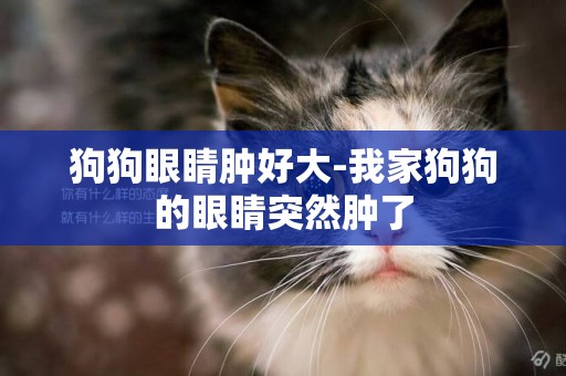 狗狗眼睛腫好大-我家狗狗的眼睛突然腫了