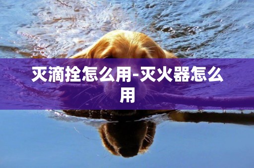 滅滴拴怎么用-滅火器怎么用