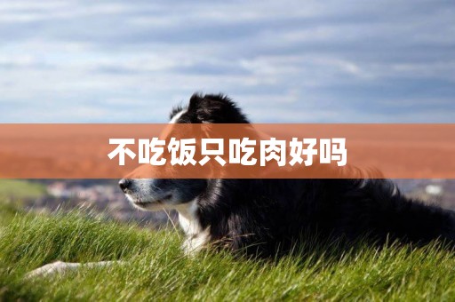 不吃飯只吃肉好嗎