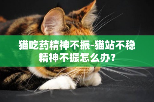 貓吃藥精神不振-貓站不穩精神不振怎么辦？