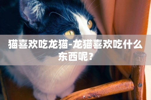 貓喜歡吃龍貓-龍貓喜歡吃什么東西呢？