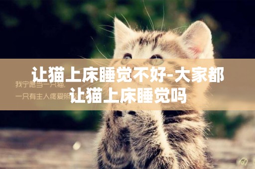 讓貓上床睡覺不好-大家都讓貓上床睡覺嗎