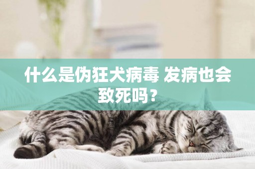 什么是偽狂犬病毒 發病也會致死嗎？