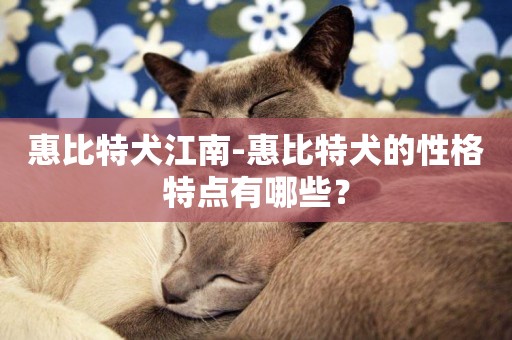 惠比特犬江南-惠比特犬的性格特點有哪些？