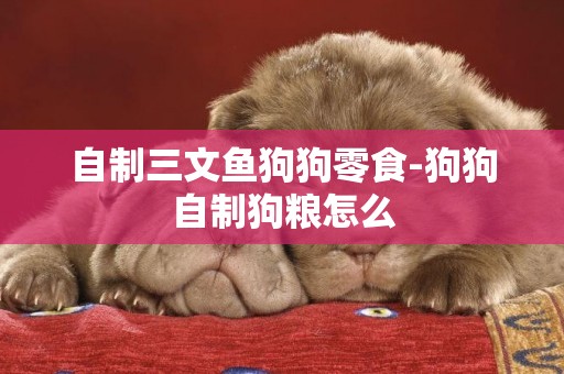 自制三文魚狗狗零食-狗狗自制狗糧怎么
