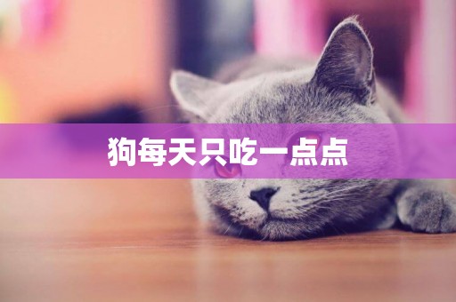 狗每天只吃一點點