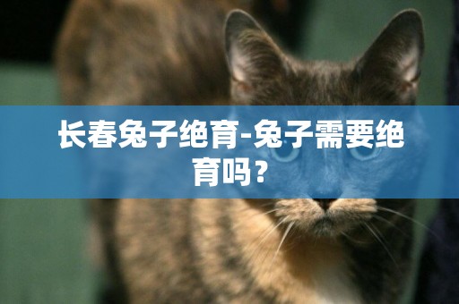長春兔子絕育-兔子需要絕育嗎？