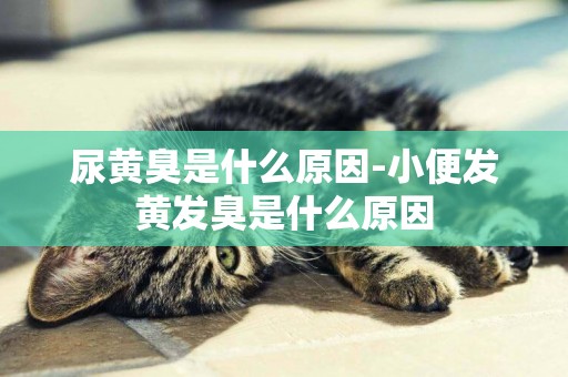 尿黃臭是什么原因-小便發黃發臭是什么原因