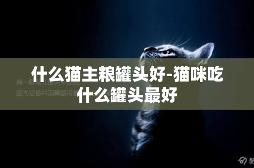 什么貓主糧罐頭好-貓咪吃什么罐頭最好