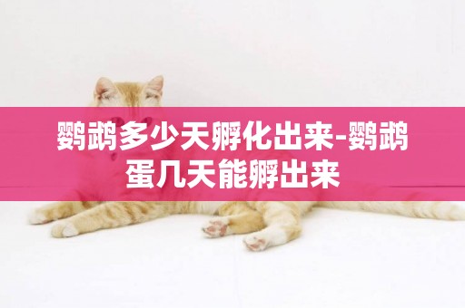 鸚鵡多少天孵化出來-鸚鵡蛋幾天能孵出來