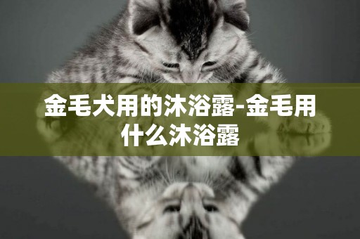金毛犬用的沐浴露-金毛用什么沐浴露