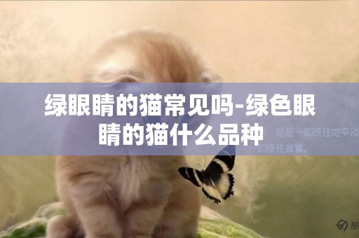 綠眼睛的貓常見嗎-綠色眼睛的貓什么品種