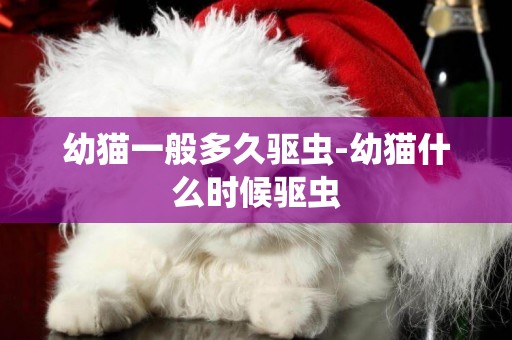 幼貓一般多久驅蟲-幼貓什么時候驅蟲