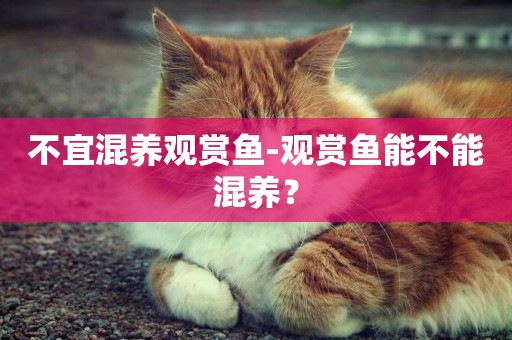 不宜混養觀賞魚-觀賞魚能不能混養？