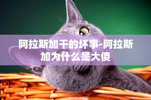 阿拉斯加干的壞事-阿拉斯加為什么是大傻