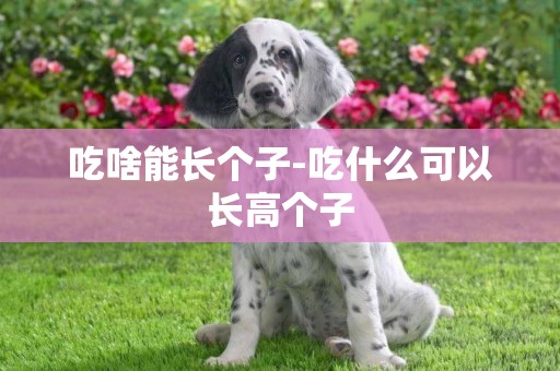 吃啥能長個子-吃什么可以長高個子