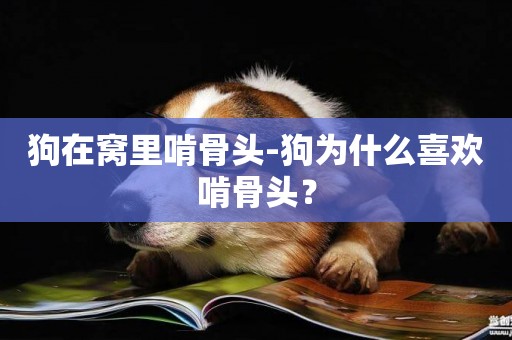 狗在窩里啃骨頭-狗為什么喜歡啃骨頭？